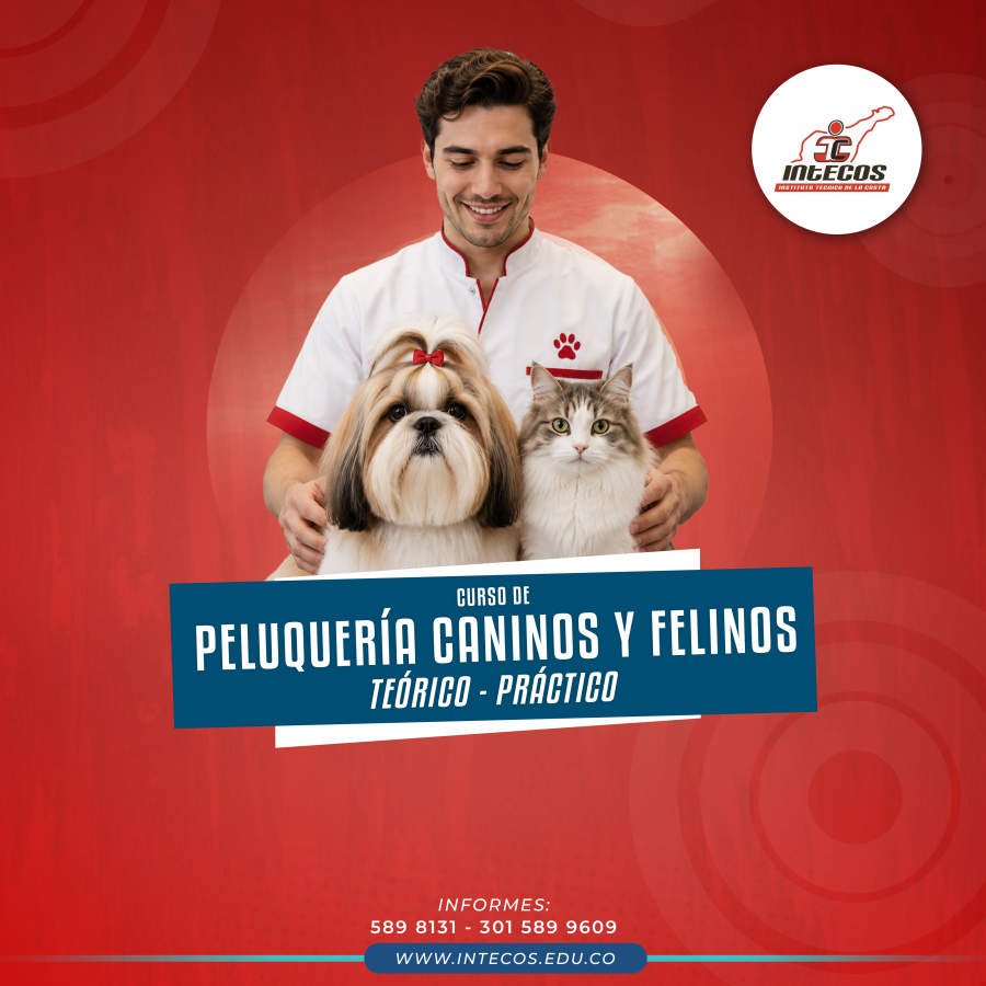 Curso en peluquería de caninos y felinos de INTECOS Valledupar